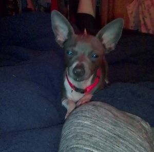 Meet your Posher, Tammy